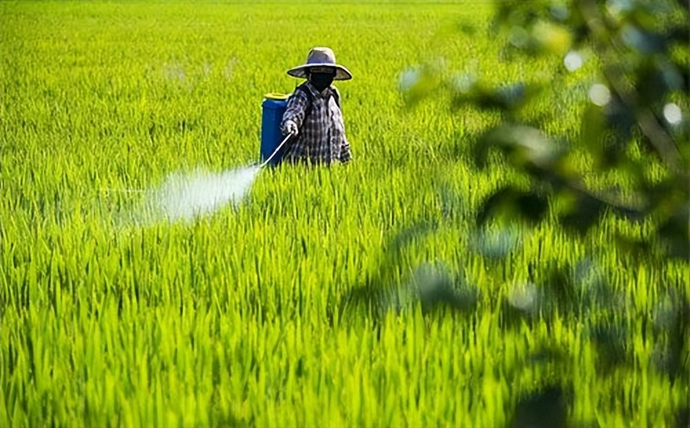 植保黑科技助力绿色农业,栽培技术植保技术决定农产品质量