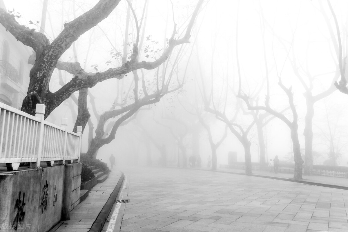 有关冬天的诗句带冬,关于冬天的诗和句子