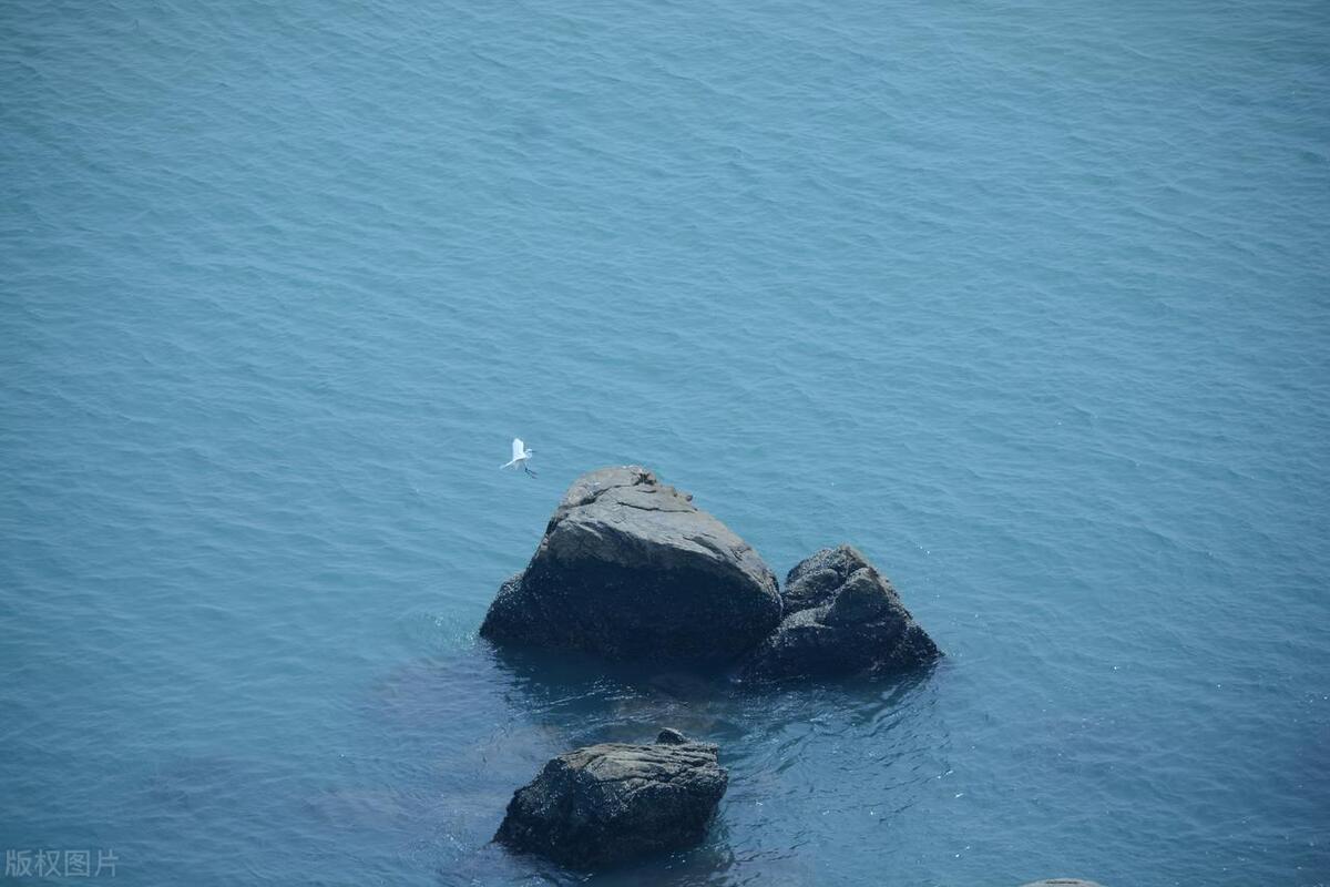 一个人在荒岛怎么生存,如果意外被困在荒岛上怎么办