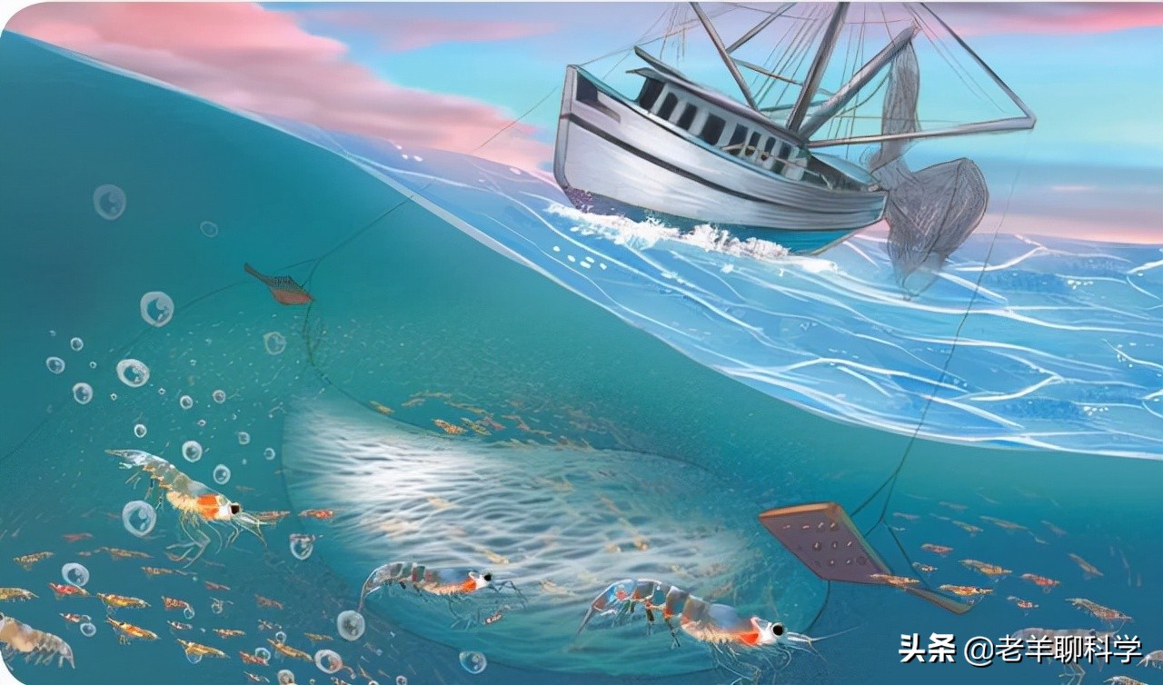 14亿国人的福音：10亿吨“海上金矿”，吃不完繁殖快，为何有隐患