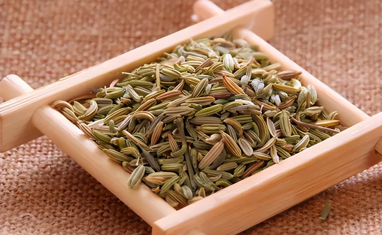 地位“尴尬”的茴香，北方人餐餐吃也不腻，南方却很少人认识它