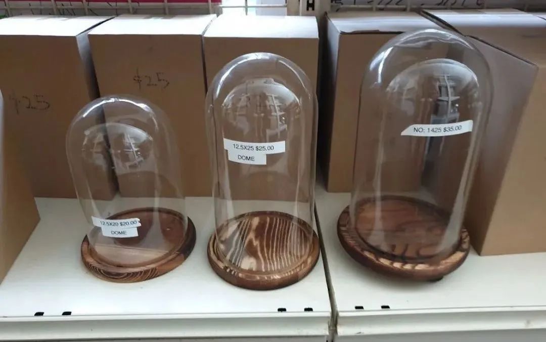 新手必看鲜花养护攻略,鲜花在水里能养几天会死