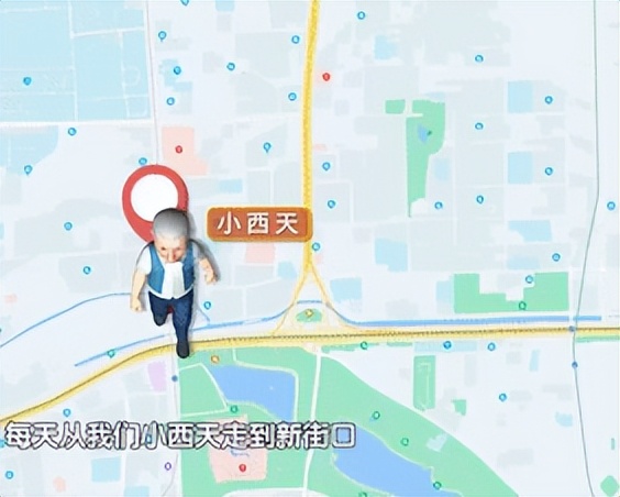 老年人增强免疫力打氨基酸可以吗,老中医增强免疫力的水配方