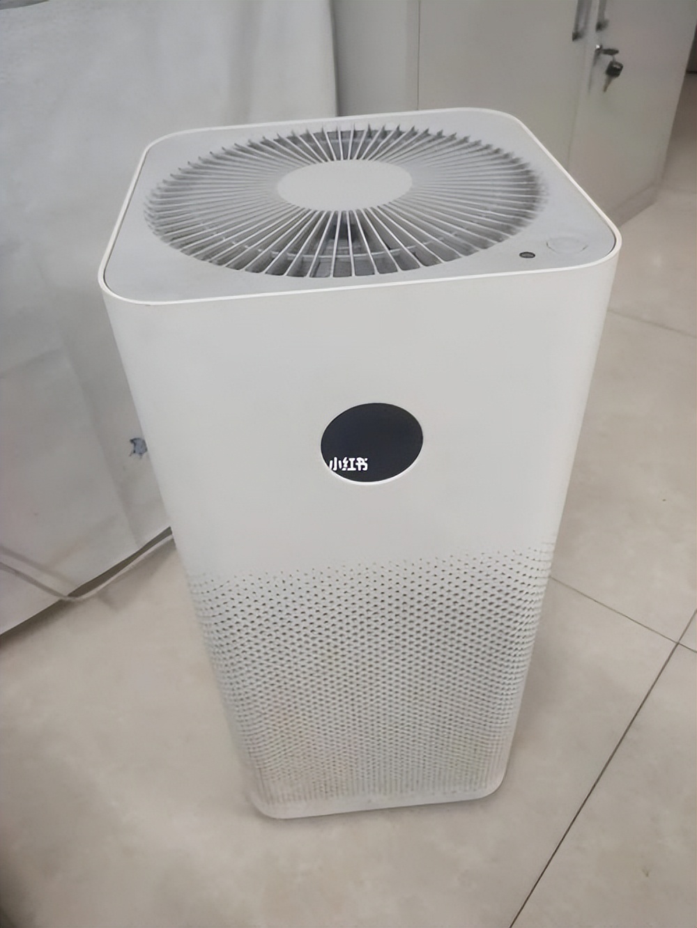 去甲醛最有效的植物,植物去甲醛最快有效