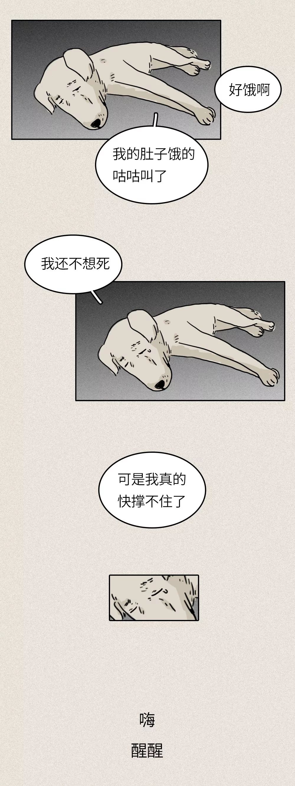 救救我36关怎么过,一只流浪狗自述