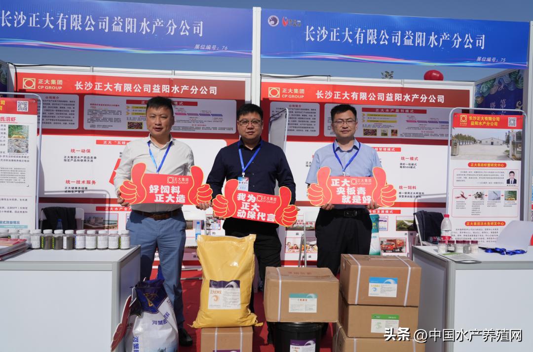 2023年南县小龙虾价格行情,南县小龙虾价格报价