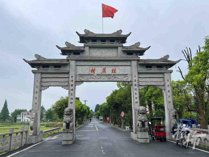 “五一”就在眼前，桂花村有点小焦虑：会有人来玩不？村里能火起来不？