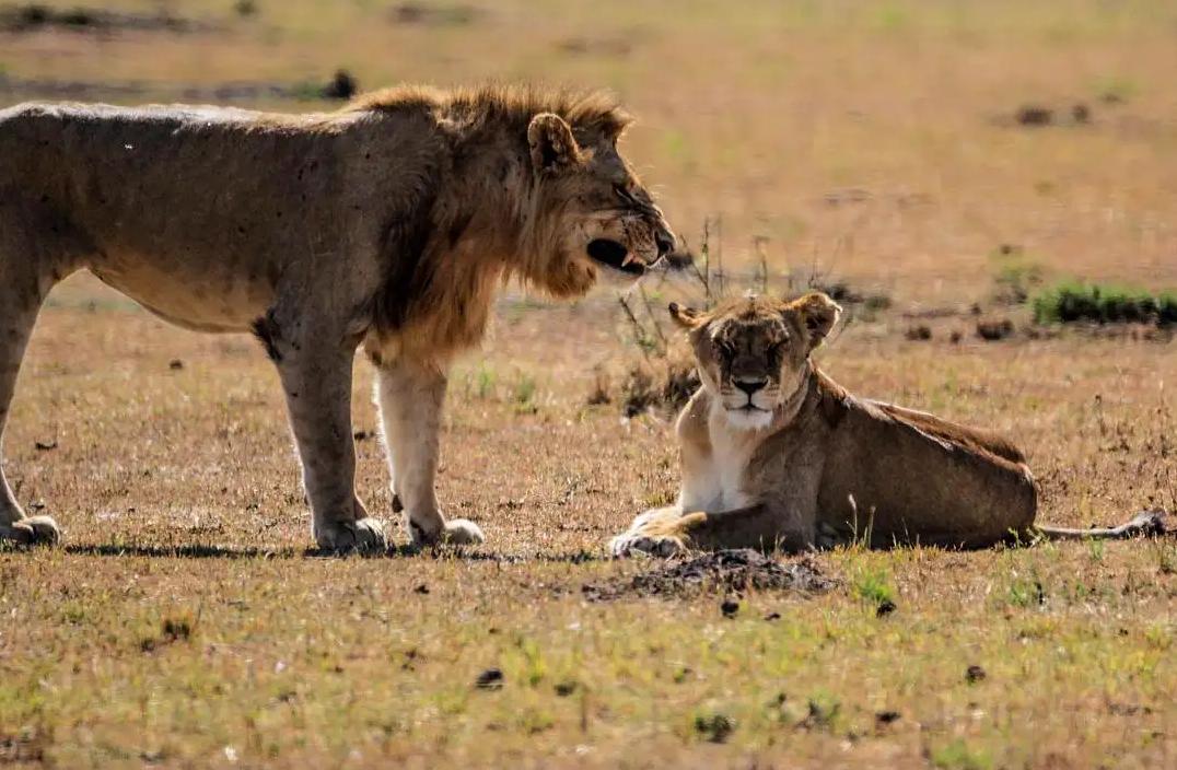 专家：子女也是消费品，不生孩子是不对的！有道理吗？