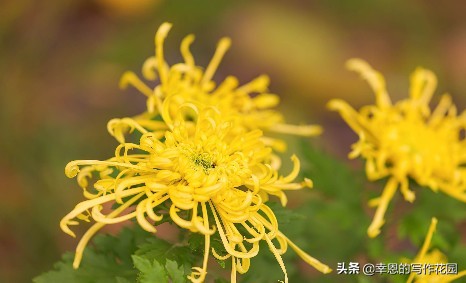 写文章结构思路,写文章的思路结构