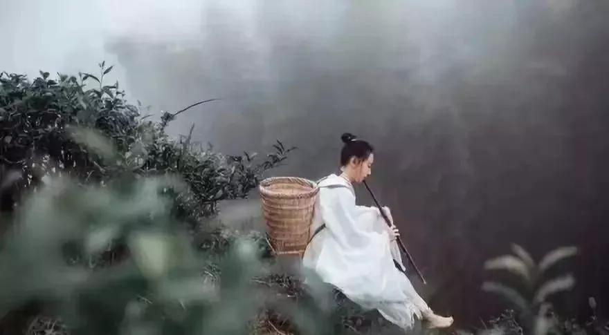 六味地黄丸治脱发吗视频,六味地黄丸治疗脱发