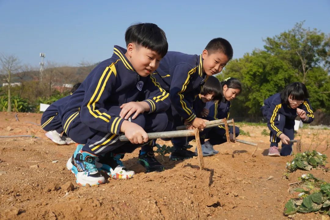 前方高能校园歌手演唱瞬间,前方高能校园