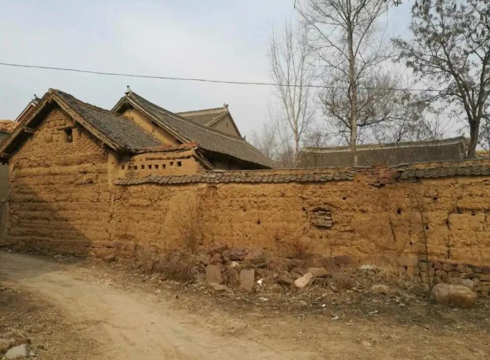 比人古老的生物,30年前虱子为什么频繁出现