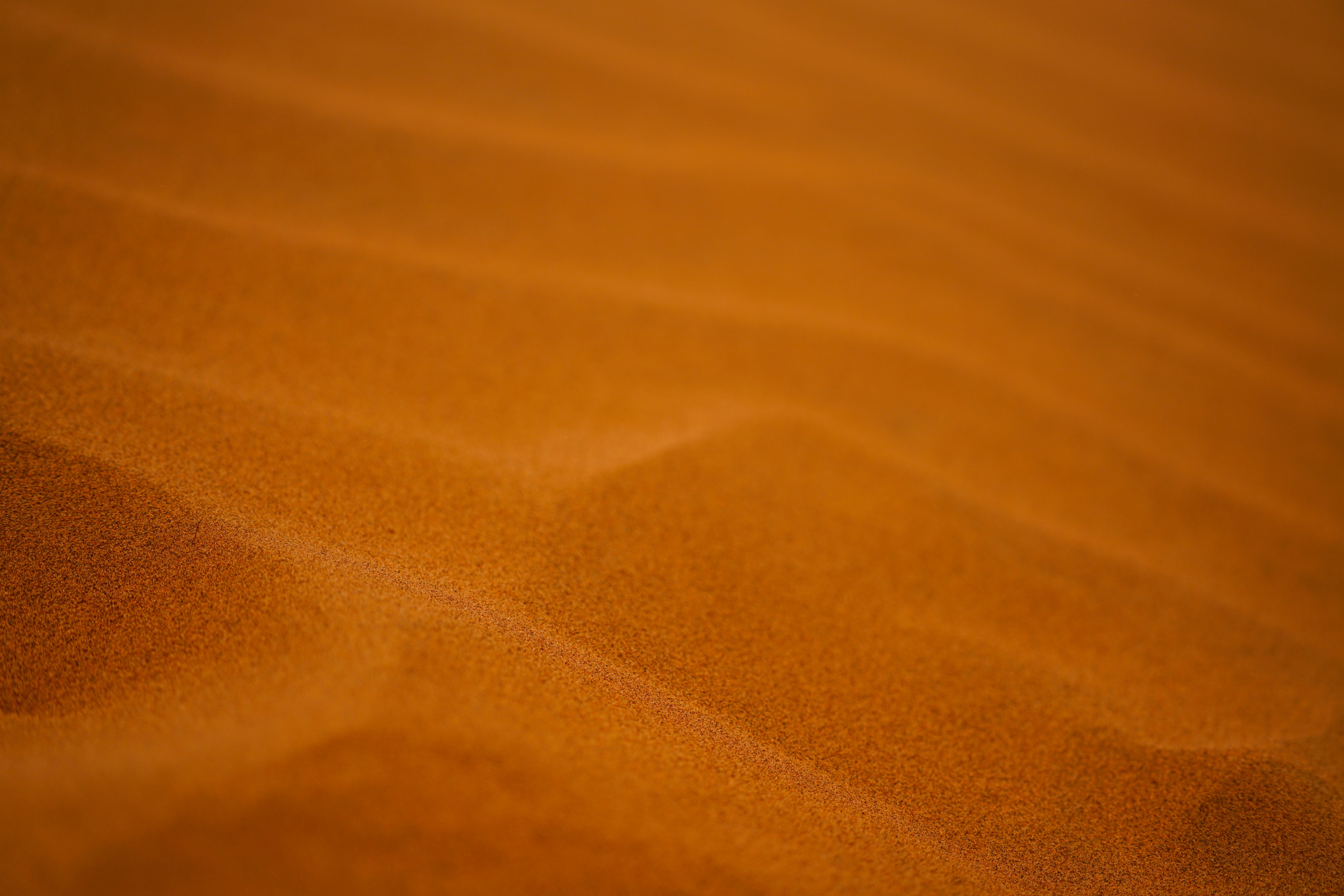 沙漠拓展训练推荐,沙漠里的拓展训练方法