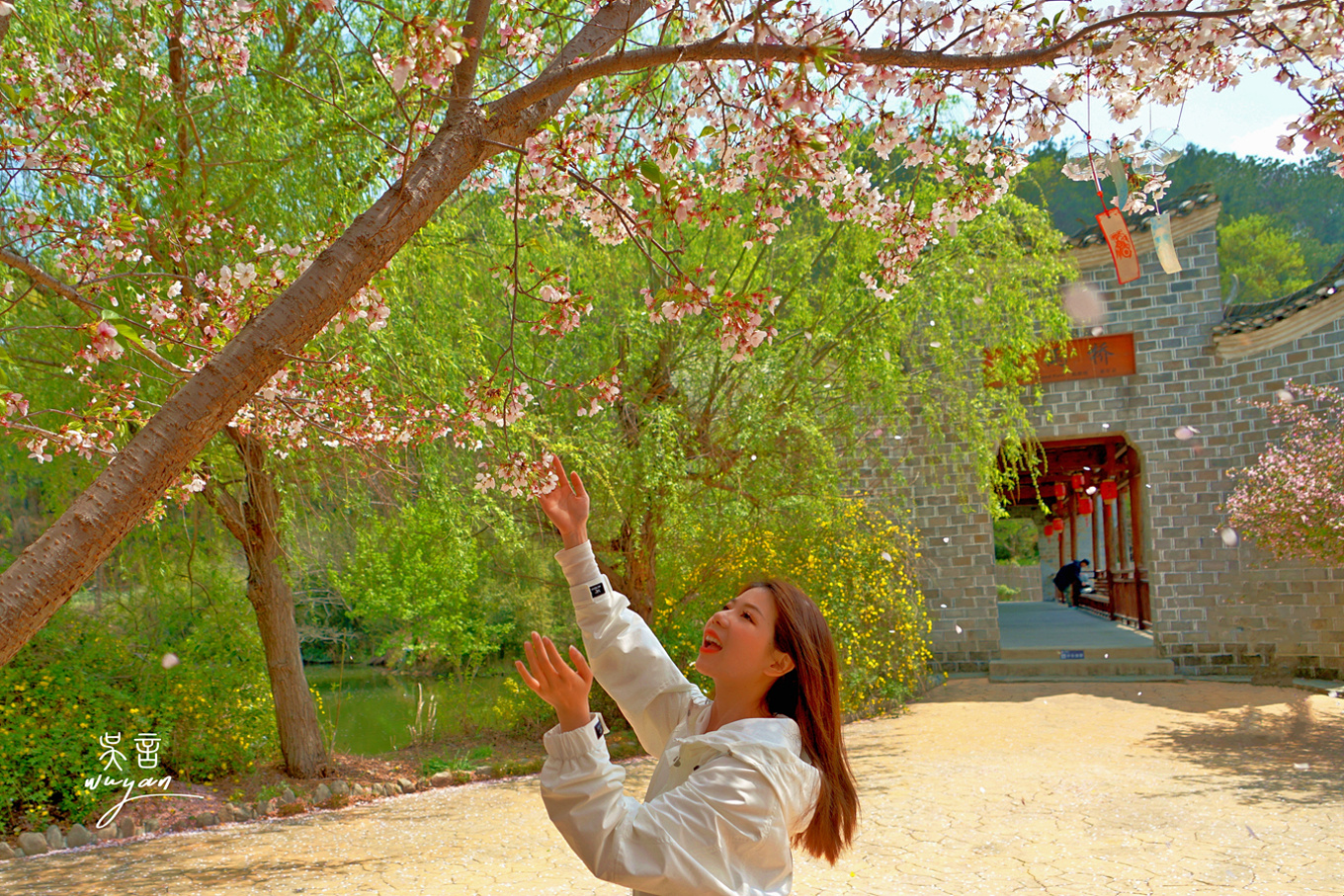 武汉看樱花半日游,武汉看樱花一日游