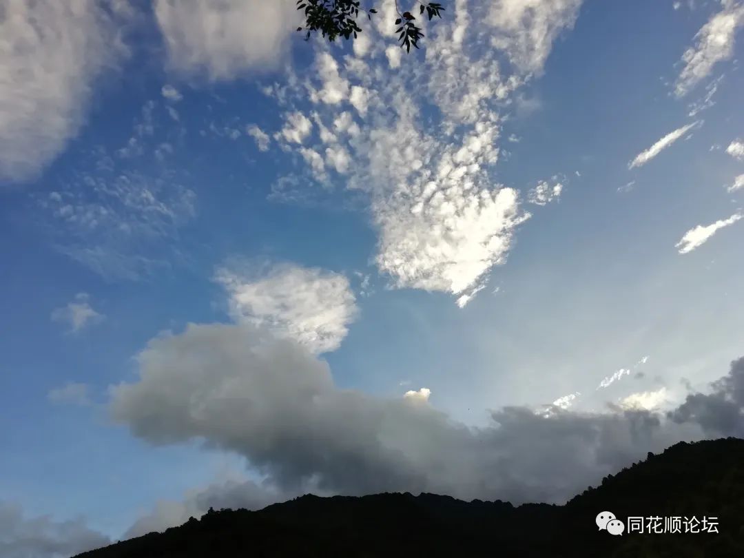 溯溪攀爬,溯溪徒步露营