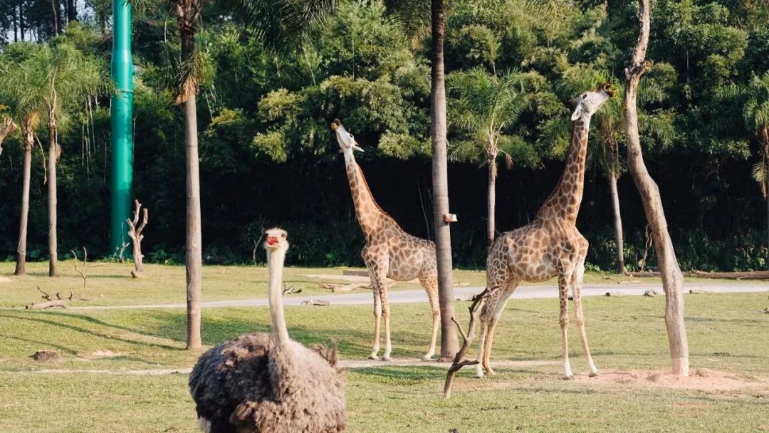 奇了怪了，究竟是什么宝地让广州老饕们也净爱往这钻？
