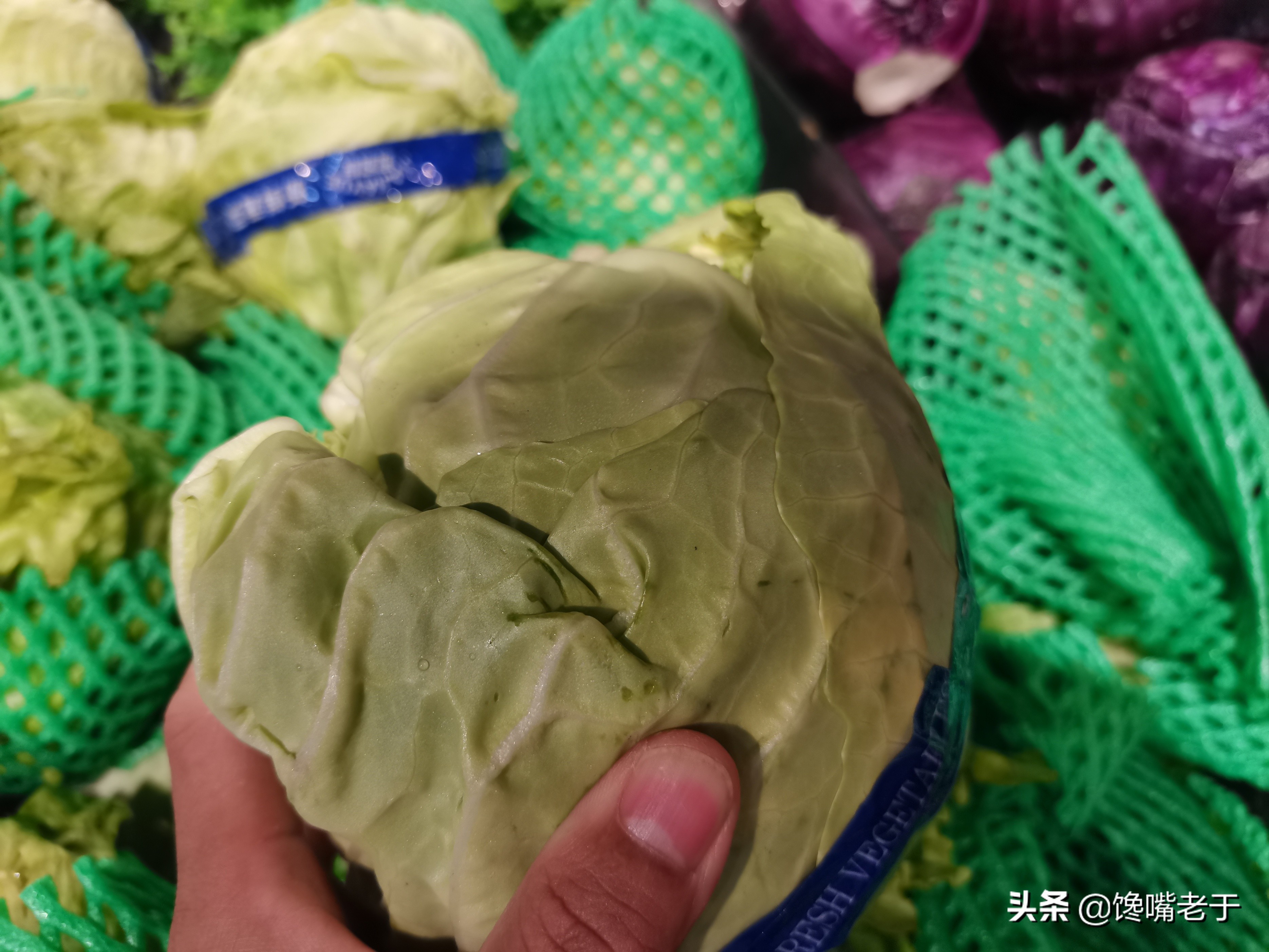 包菜紧实的好还是松的好,包菜松散好还是结实好吃