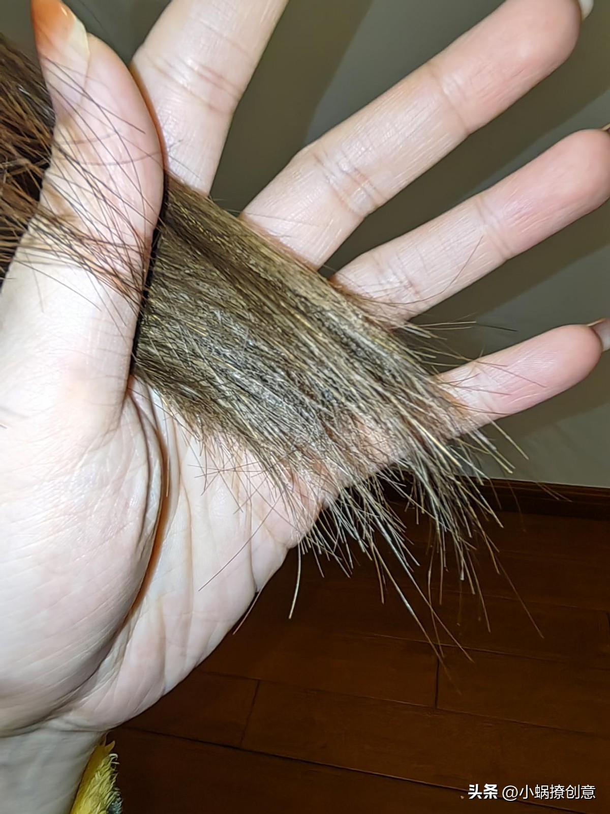 电吹风负离子吹风机推荐,吹风机不错推荐