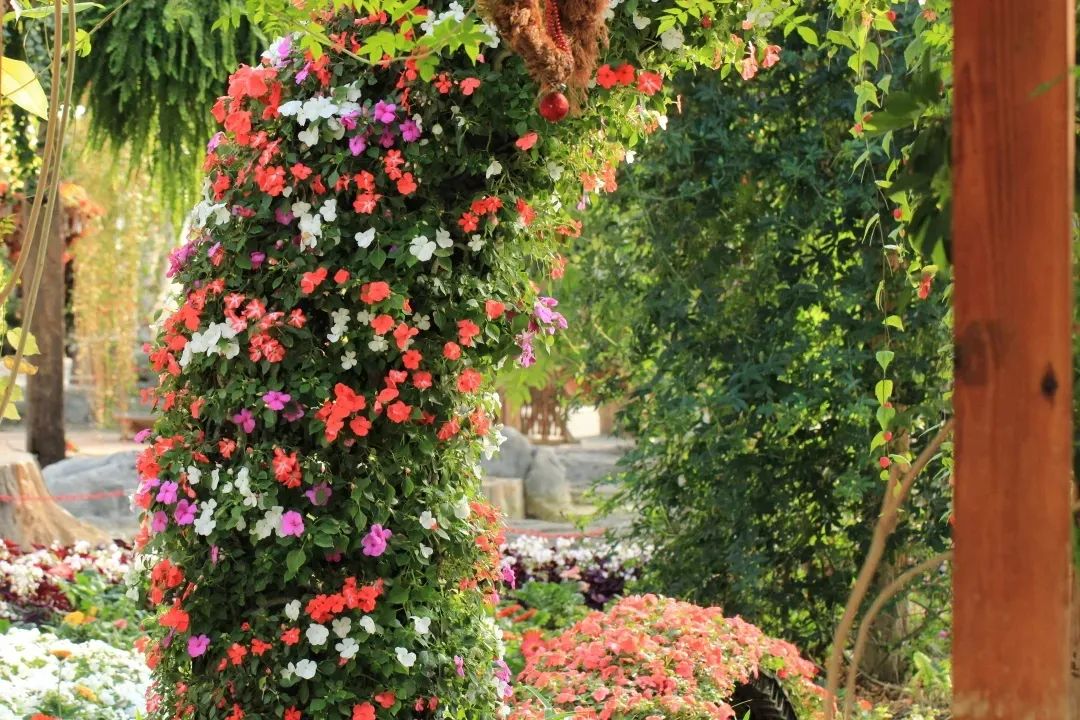 北京植物园的赏花的最好时节,西山秘境惊艳北京的植物