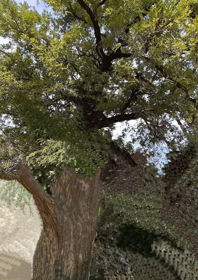 博山陶瓷70年代,博山七八十年代的陶瓷欣赏