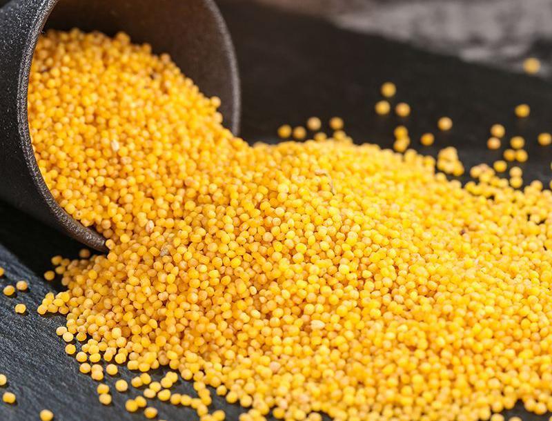 晋味美沁州黄小米怎么样,沁州黄小米哪个品牌最正宗