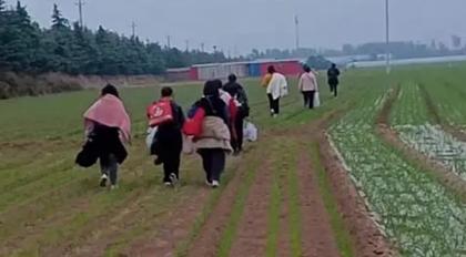 郑州富士康徒步返乡事件,郑州富士康员工徒步返乡事件点评