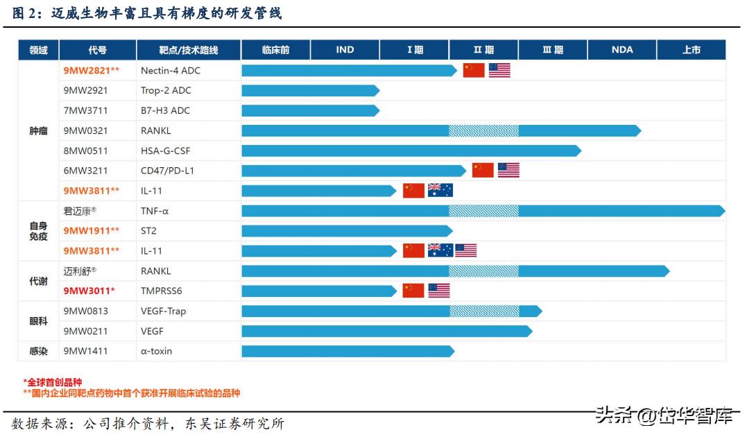 有效避开内卷，迈威生物：ADC锋芒初显，快速成长的Biopharma
