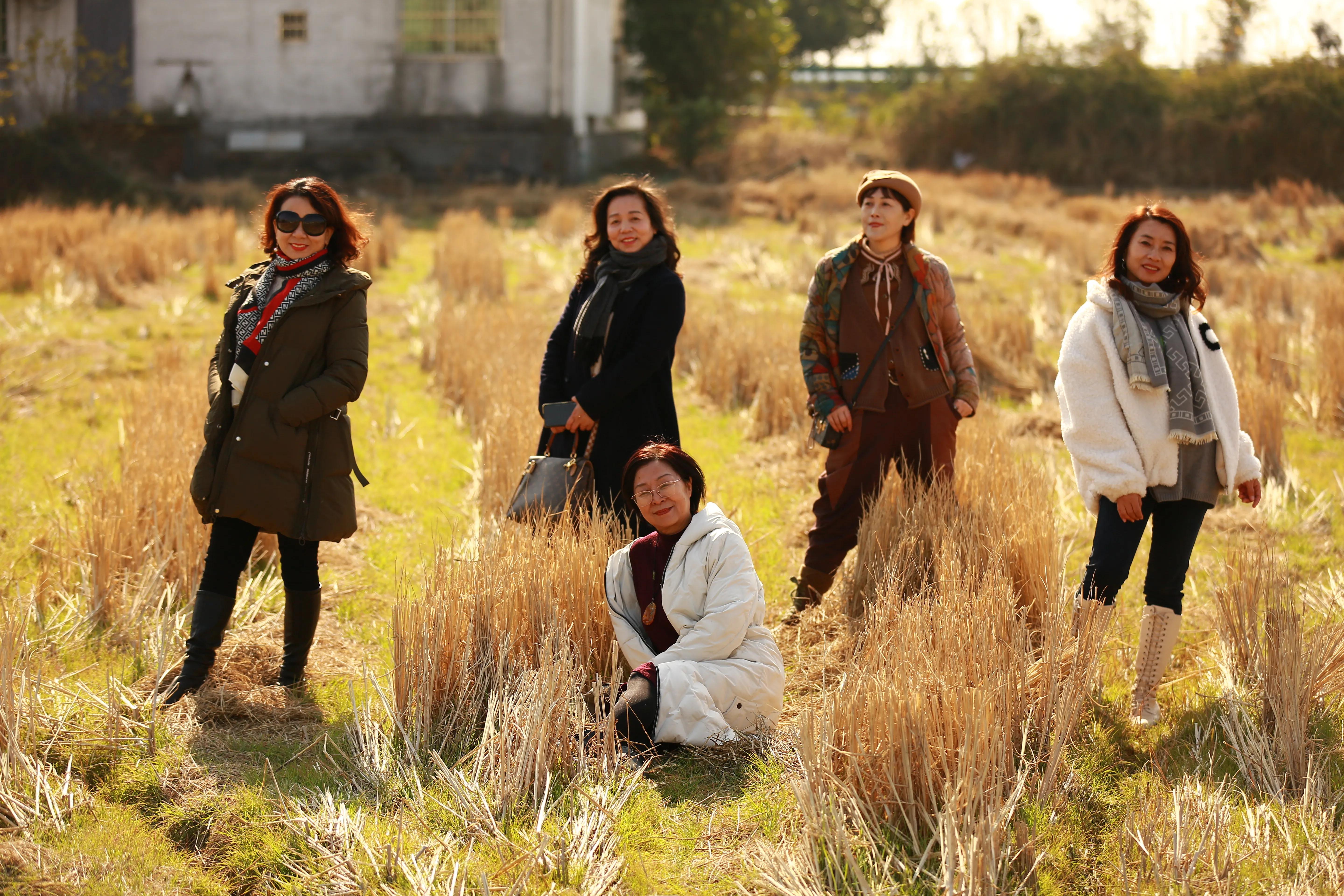 红杉林之恋,红杉林之恋完整版