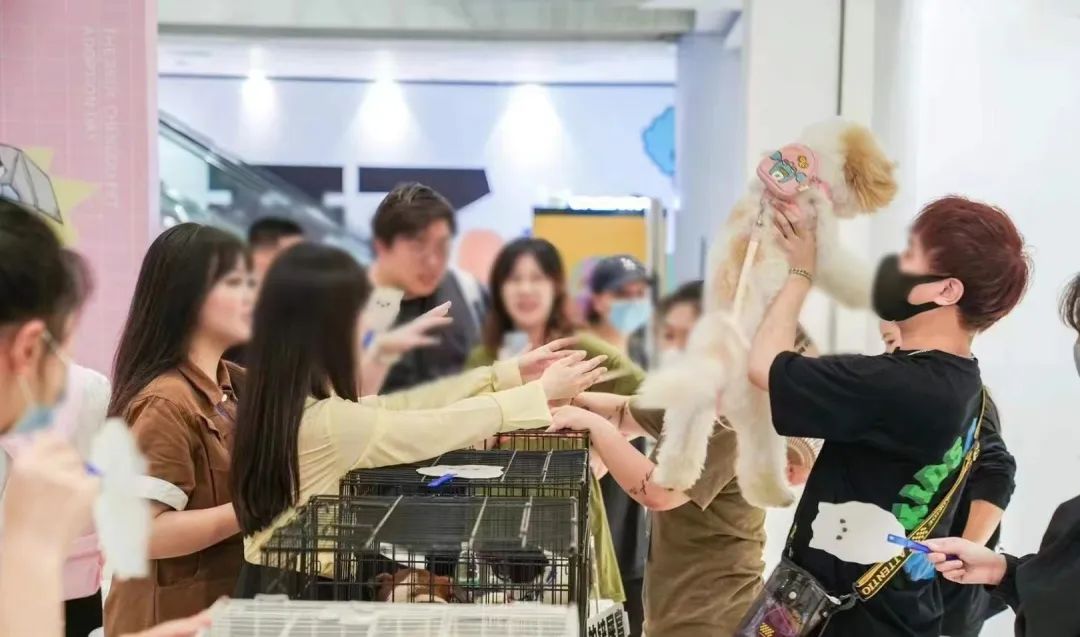 烟火成都多彩非遗,烟火成都