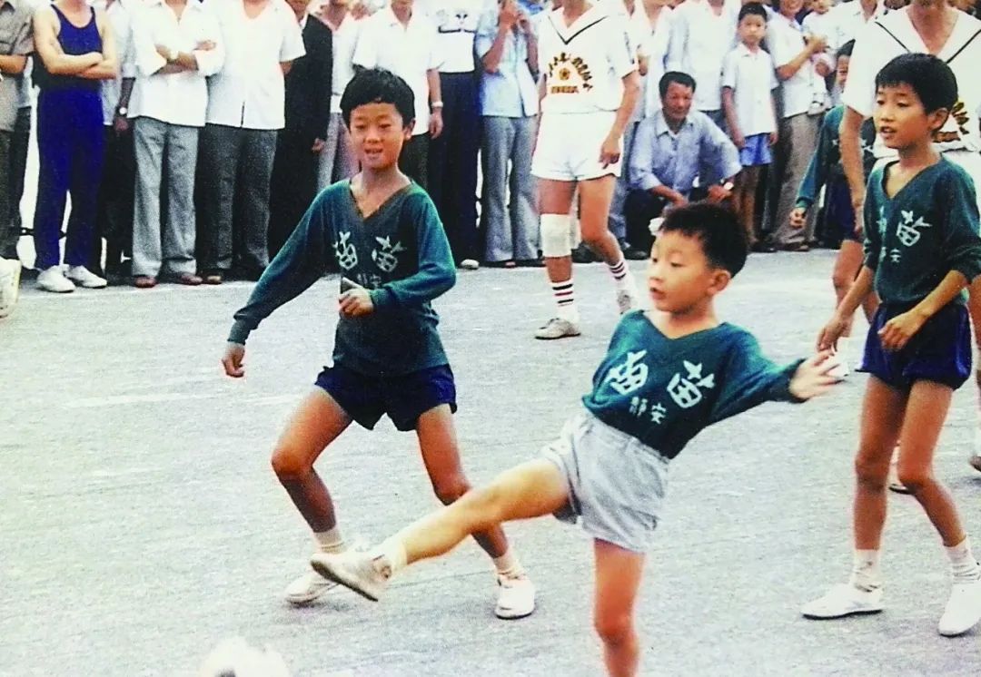 冬冬小胖是什么电视剧,故事小企鹅和北极熊