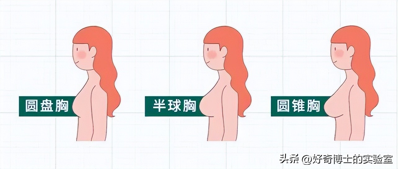 女人的胸部，为啥不能随便乱揉？