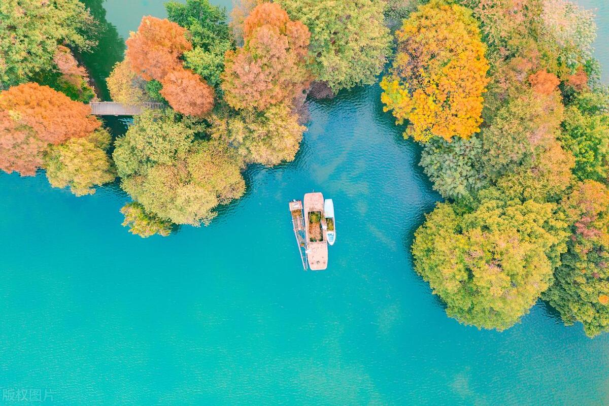 家族的这些“报应”，可能会降临到子孙身上，父母需要多留心眼