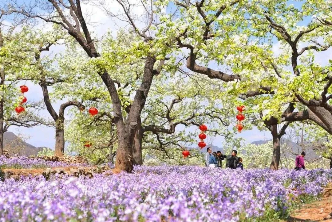 整村运营,整村运营顶层策划