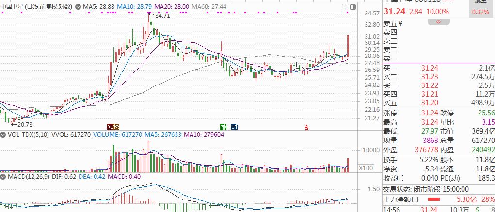 板块人气龙头股,板块强势龙头股排行榜