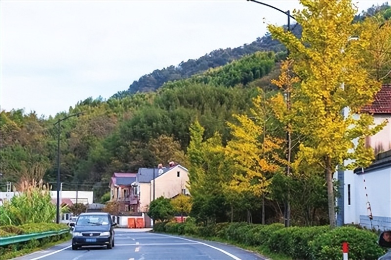 余杭野趣露营基地,露营余杭营地
