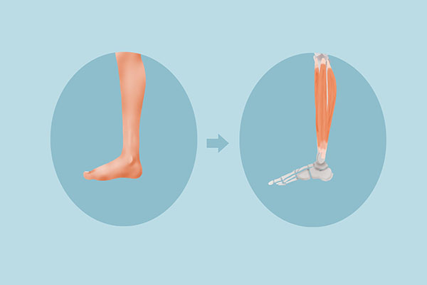 牛磺酸泡腾片成分使用效果说明,牛磺酸泡腾片有无色无味的吗