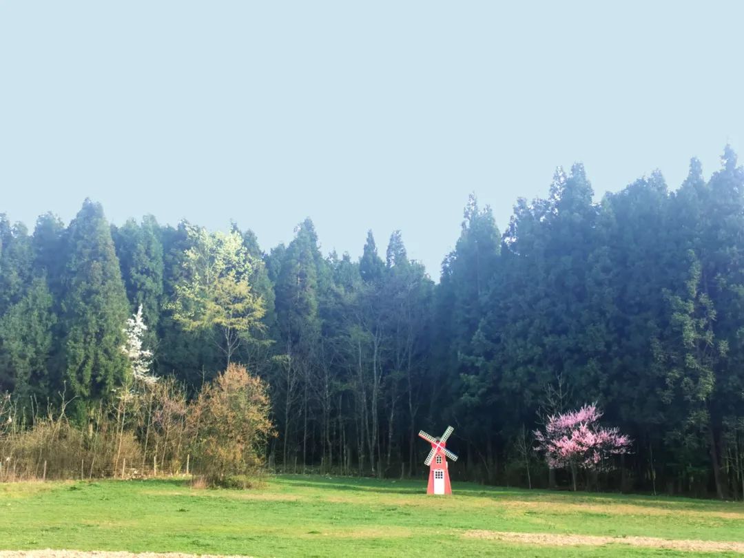 重庆璀璨明珠美景图,重庆涪陵美景