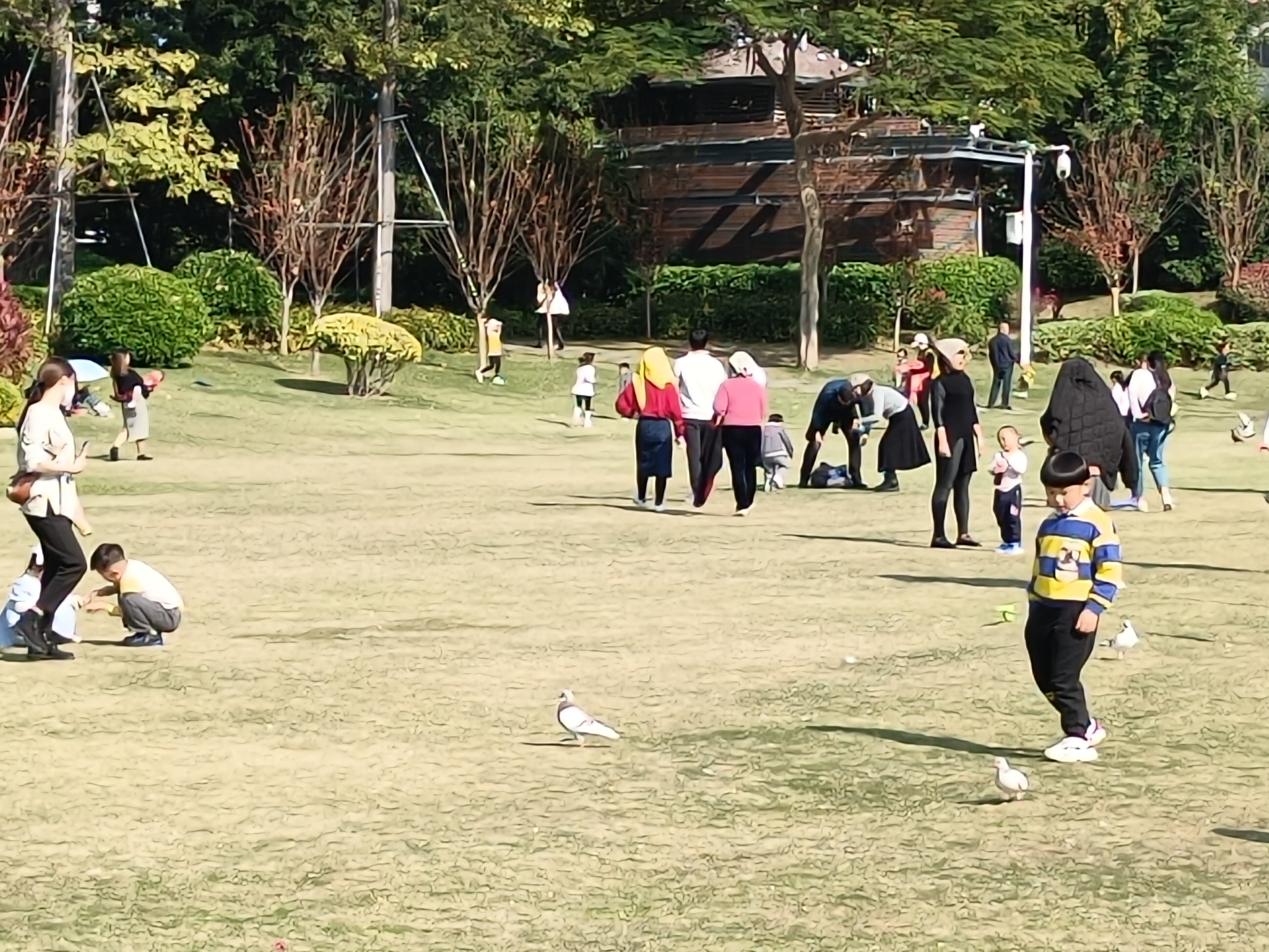 厦门最大广场公园,厦门城市广场最大景点