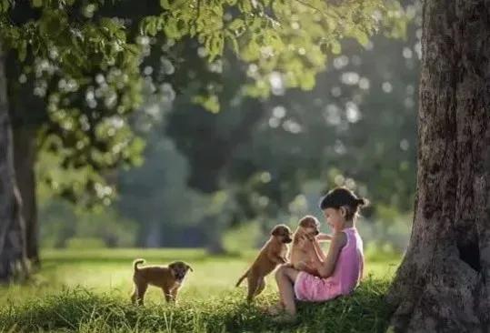 和字的解读,和字原意