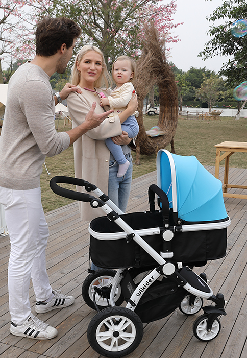 国产十大婴儿推车品牌,国产十大婴儿推车品牌排行榜