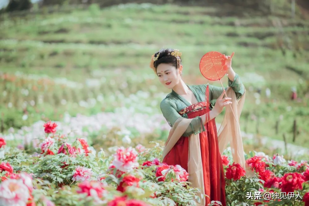 散与群芳自在春：许你一场诗词里的春暖花开，每一朵都惊艳了春天