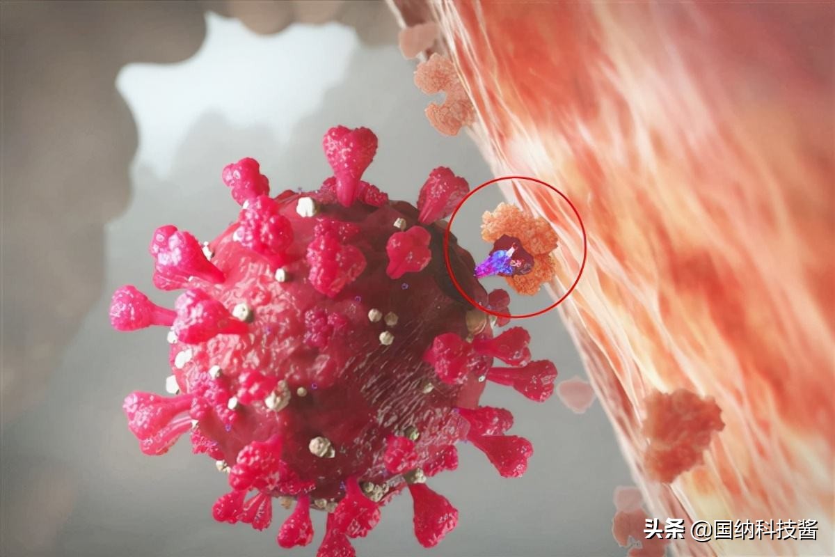 新冠病毒手机也可以测试,手机能检测病毒