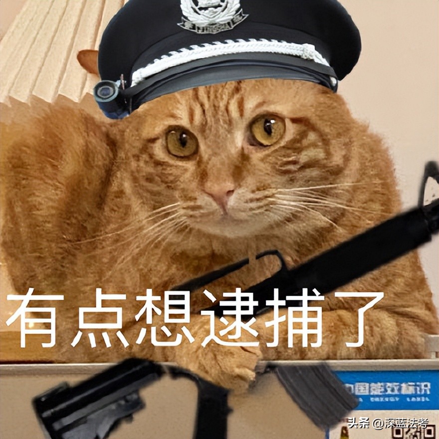 法考2022全套题,如何更快掌握法考真题