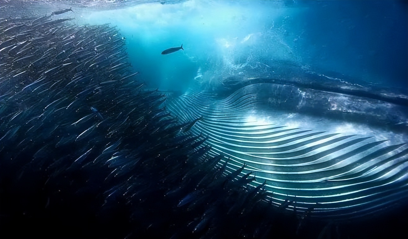 房V们的误导（上）#X559