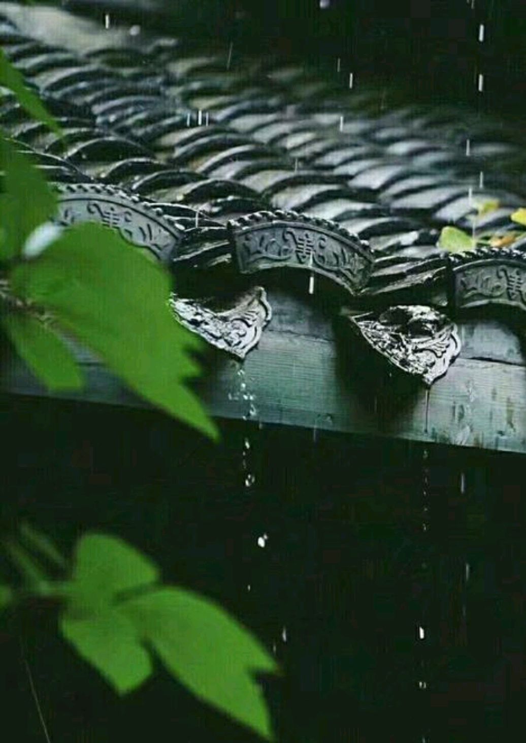 情感散文夏日听雨,散文夏日情怀