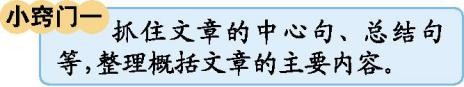 部编版四年级下册语文全部知识点,部编版四年级下册语文第三单元12
