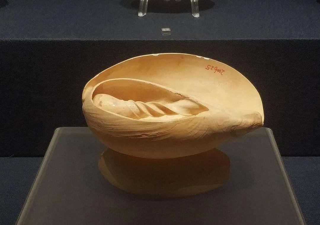 前三三后三三琉璃盏玳瑁㮈