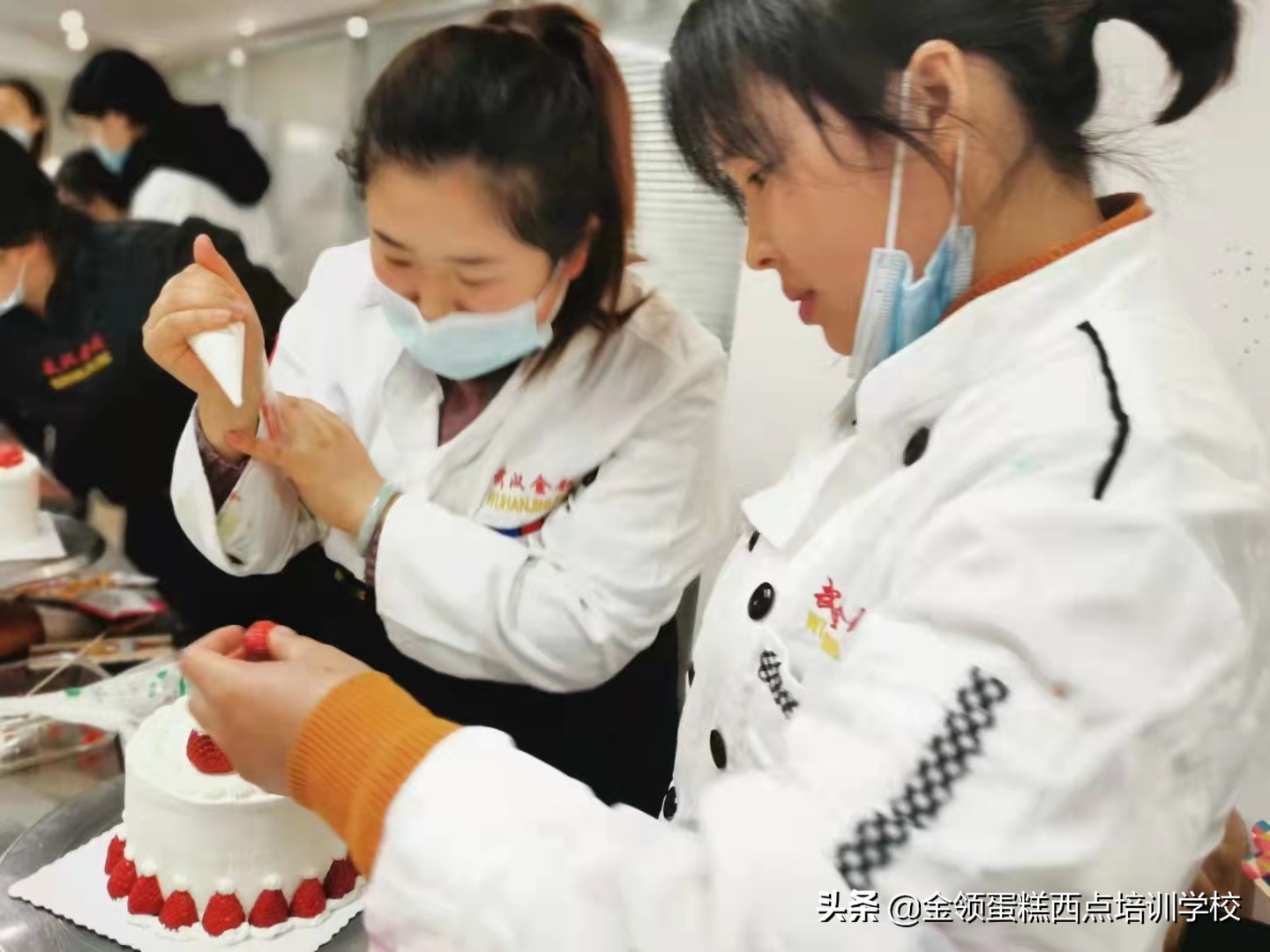 鐑樼剻鍏ラ棬鏁欑▼鍩虹,鐑樼剻鍩虹鍏ラ棬鏁欑▼瑙嗛