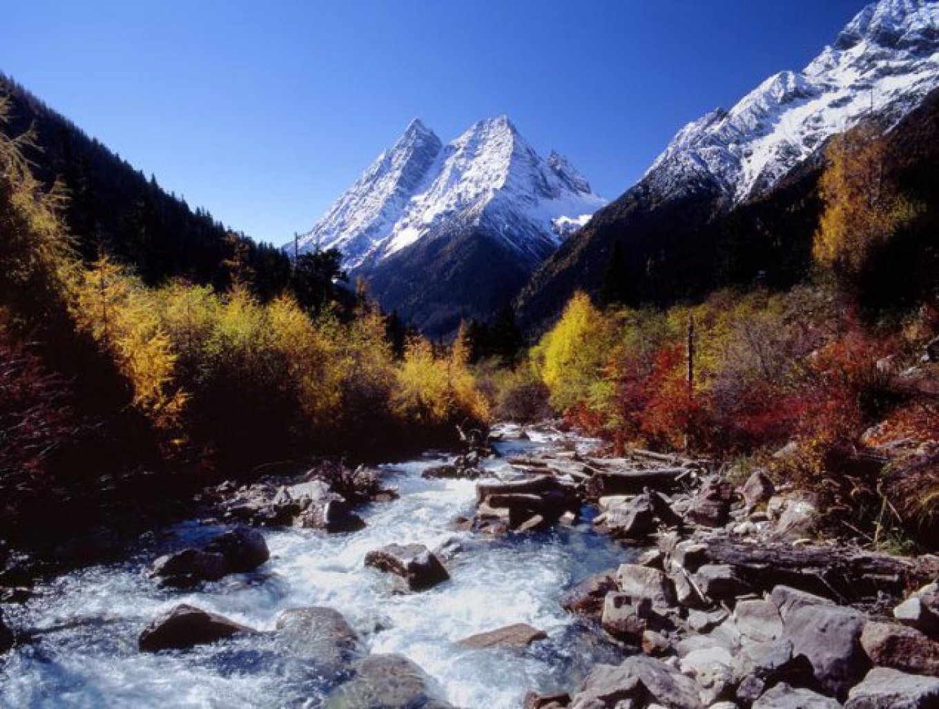 四川四姑娘山嘉绒民宿,川西旅游四姑娘山住宿