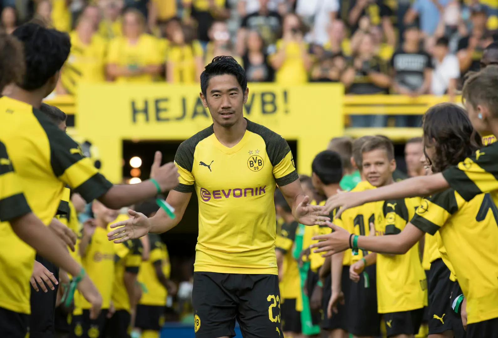 最新英超哈兰德,英超六强谁买了哈兰德